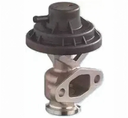 ERG vožtuvas MAGNETI MARELLI 571822112156